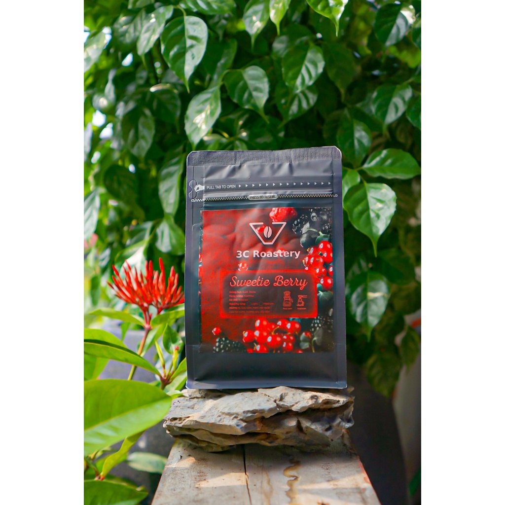 Cà phê Kenya AA SL28 - 3C ROASTERY