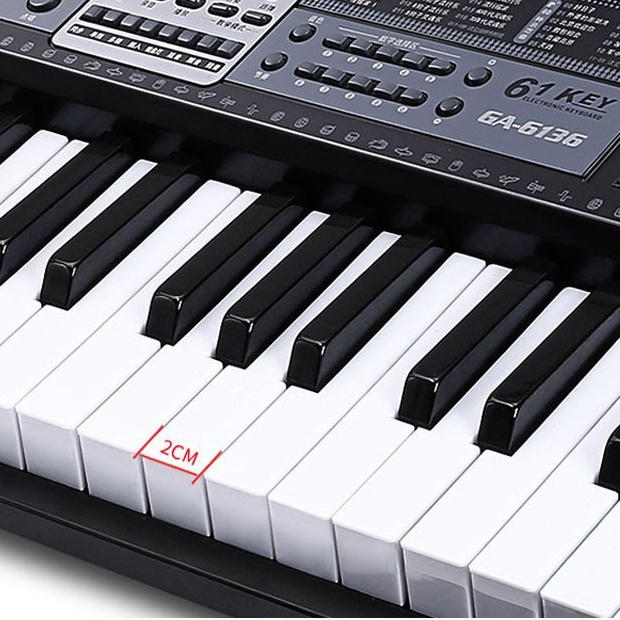 Đàn Organ Piano 61 Phím Woim-6136 Kèm Micro Cho Người Mới Tập Chơi