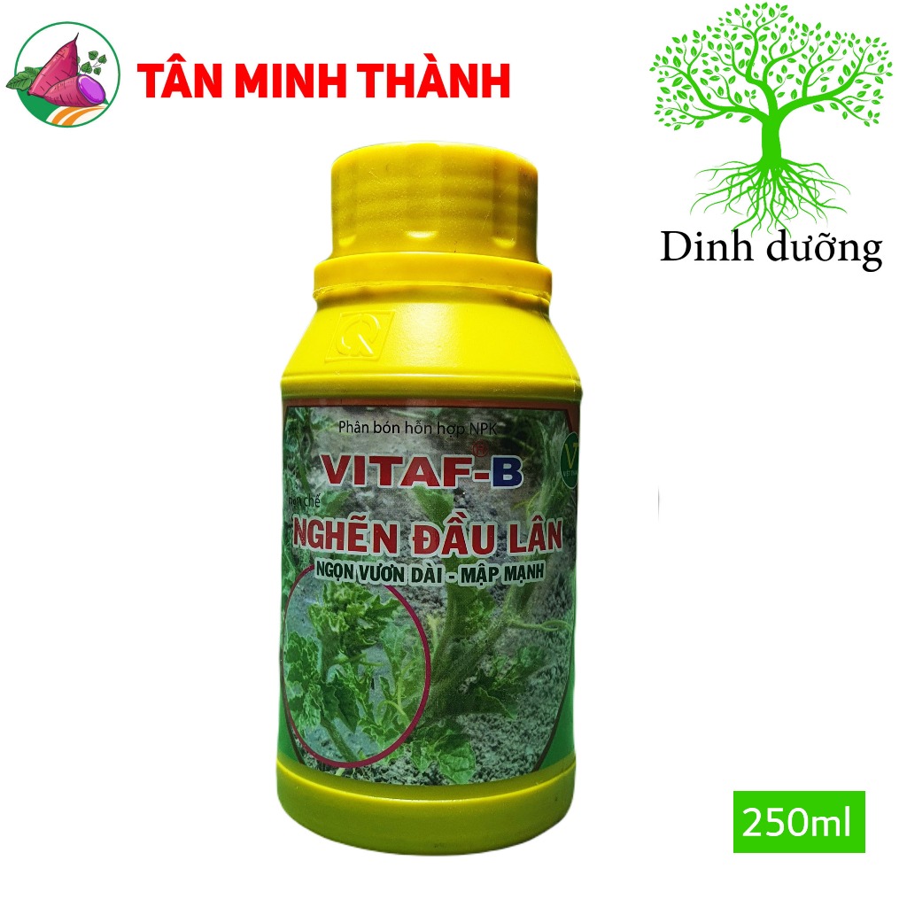 Nghẽn Đầu Lân VITAF B - Giúp hạn chế nghẽn đầu lân, dùn đọt, ngon chậm phát triễn, ra lá non