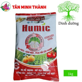 Humic khoai lang đb21 - siêu ra rễ, nhiều củ, to củ, hạ phèn