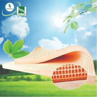 Đệm cao su Đồng Phú Friendly