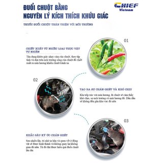 Bình xịt đuổi chuột ô tô 480ml