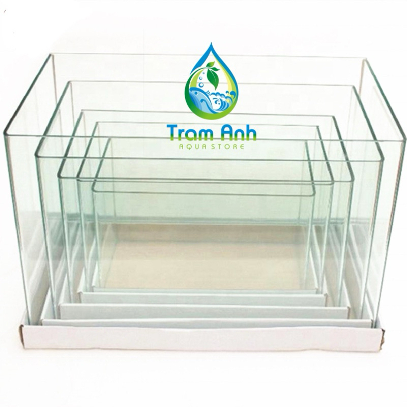 Bể cá Thủy tinh - Hồ cá cảnh mini - Bể nuôi tép - Bể đúc cạnh cong ( tặng cao su bảo vệ góc)