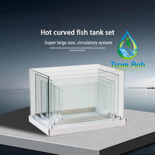 Bể cá đúc thủy tinh - Hồ cá , thủy sinh cạnh cong - tặng cao su bảo vệ góc