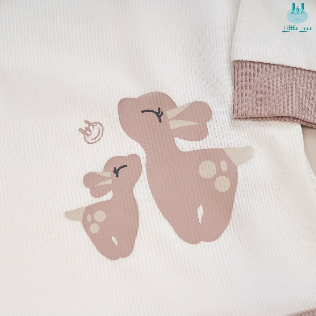 Combo 2 áo dài tay chất modal thun tăm siêu mềm mịn cho trẻ sơ sinh bé trai và bé gái LiL Little Love (LASSS01)