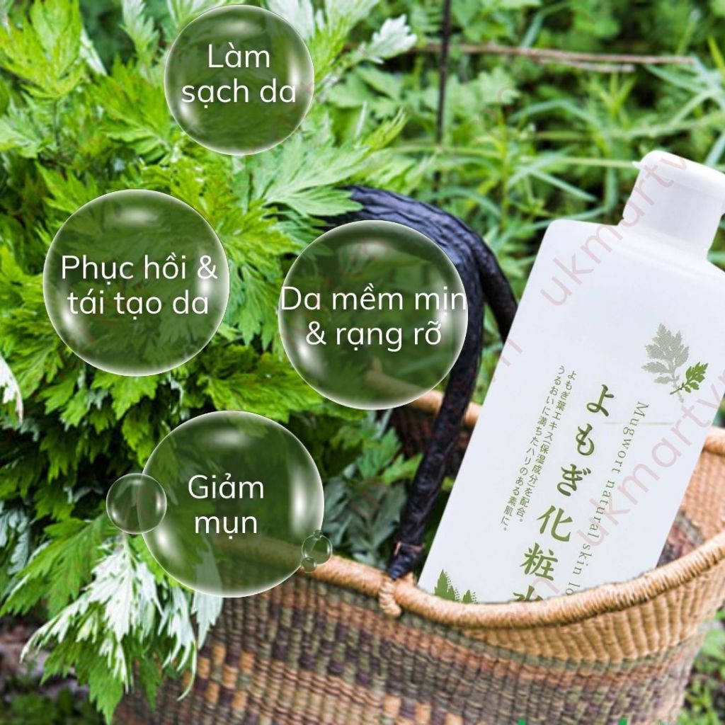 Nước Hoa Hồng Chiết Xuất Ngải Cứu Chinoshio Dokudami Natural Skin Lotion 250ml