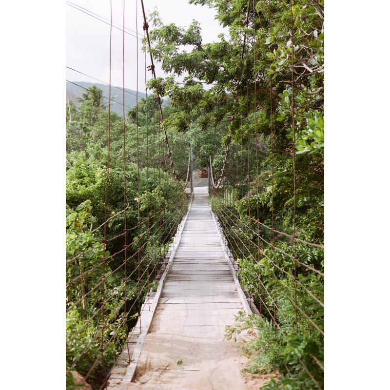 - Film 135  giá rẻ, 24 kiểu, hàng US