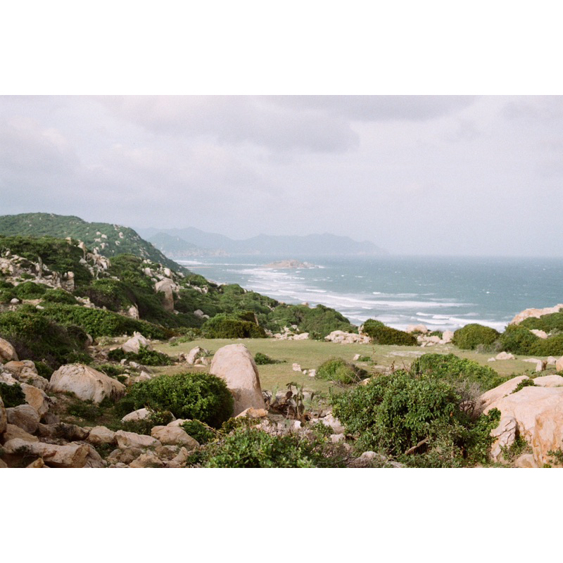 - Film 135  giá rẻ, 24 kiểu, hàng US