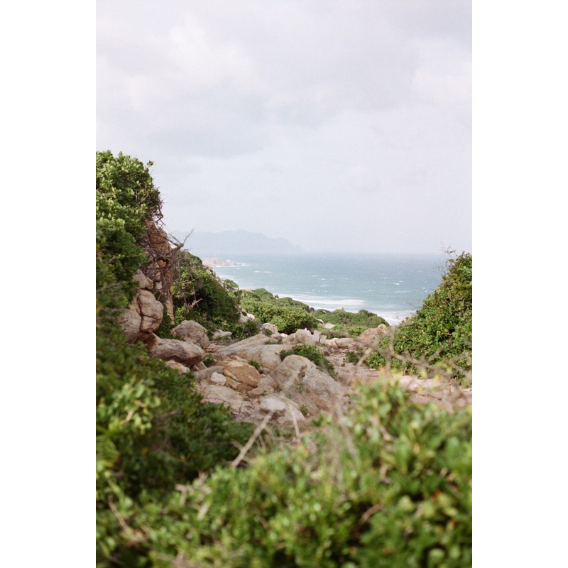 - Film 135  giá rẻ, 24 kiểu, hàng US