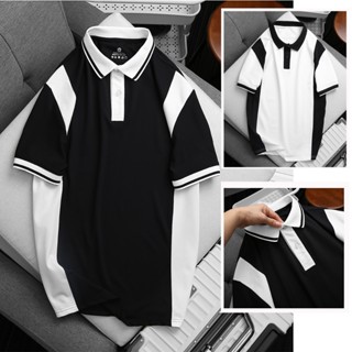 áo polo nam nữ cổ bẻ thun cá sấu thái co dãn thoáng mát thoáng mồ hôi trơn viền trắng đen tặng người thân cao cấp