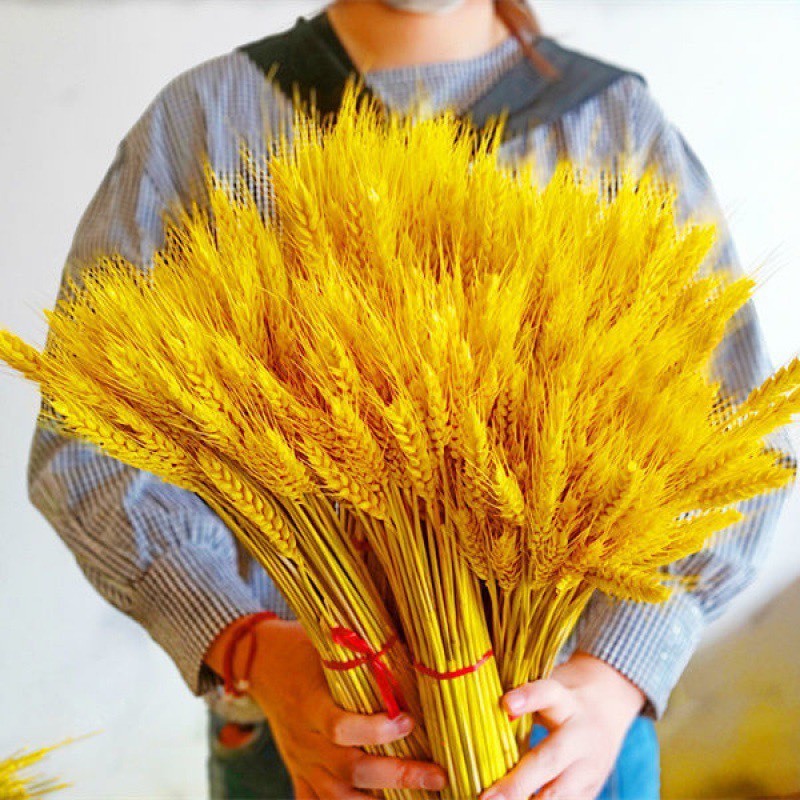 Set Bình Cắm Hoa Túi Tiền Kèm Cành Đào Đông Đỏ Và Lúa Mạch