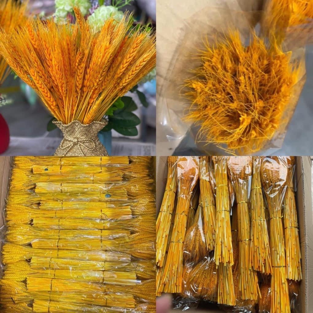 Set Bình Cắm Hoa Túi Tiền Kèm Cành Đào Đông Đỏ Và Lúa Mạch