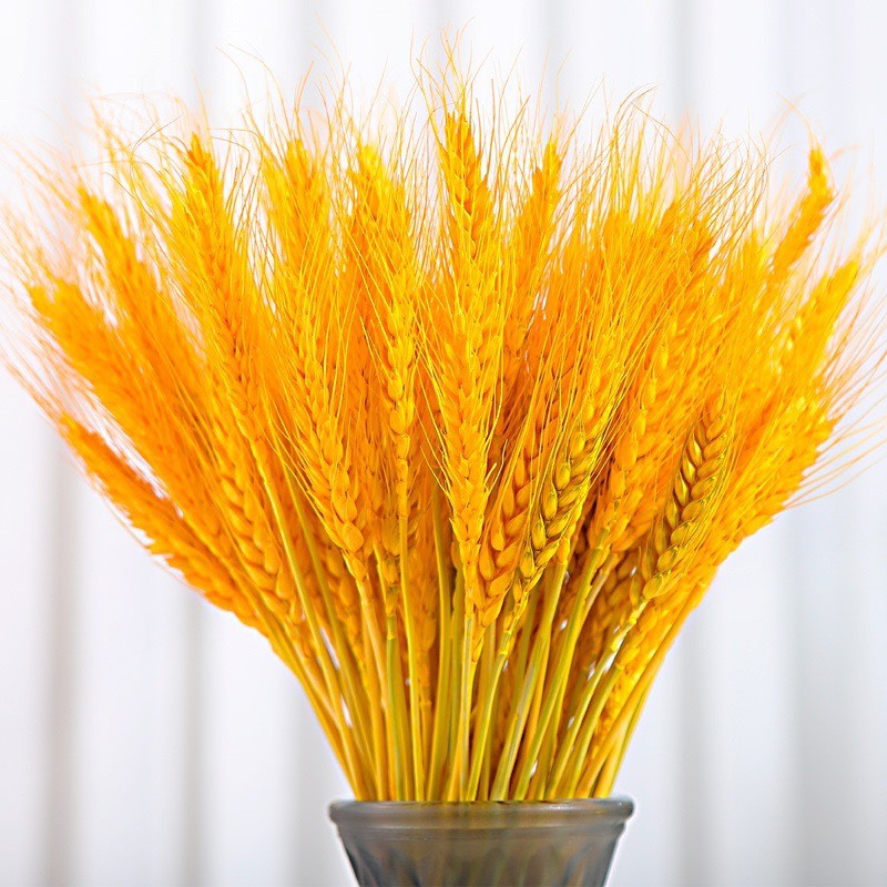 Set Bình Cắm Hoa Túi Tiền Kèm Cành Đào Đông Đỏ Và Lúa Mạch