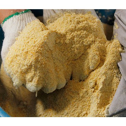 5Kg Cám Ngô Xay Mịn Cho Cá, Cho Chim, Cho Gà - Cám Bắp Xay Làm Mồi Câu Cá