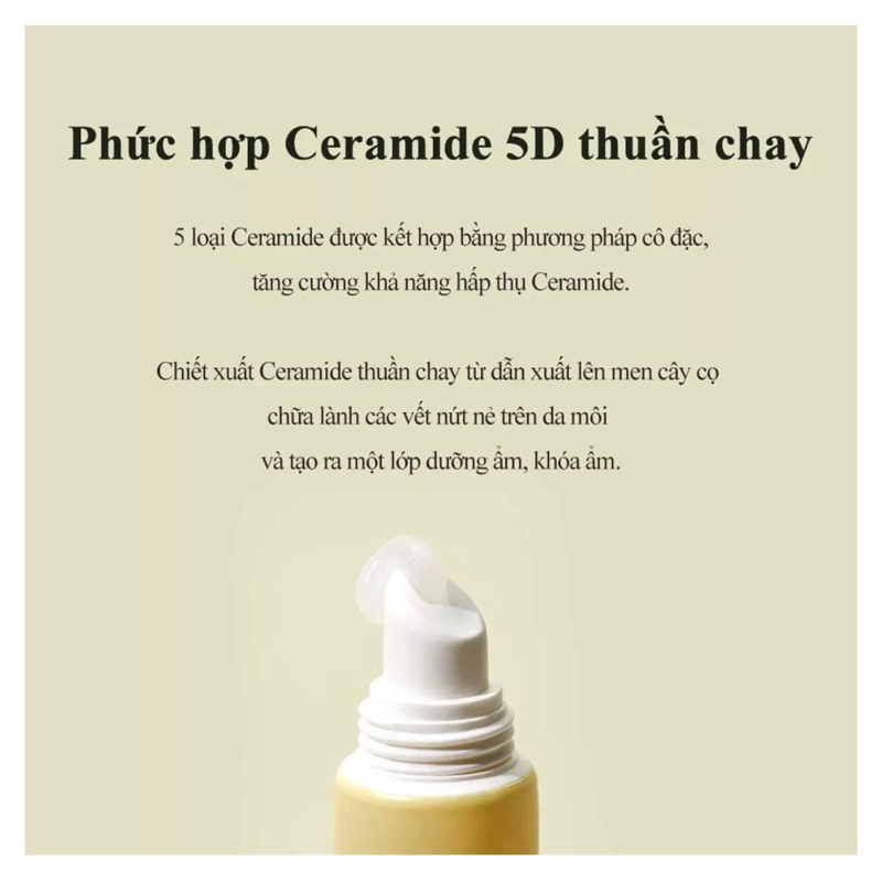 Dưỡng môi thuần chay Torriden Solid in Ceramide Lip Essence 11ml