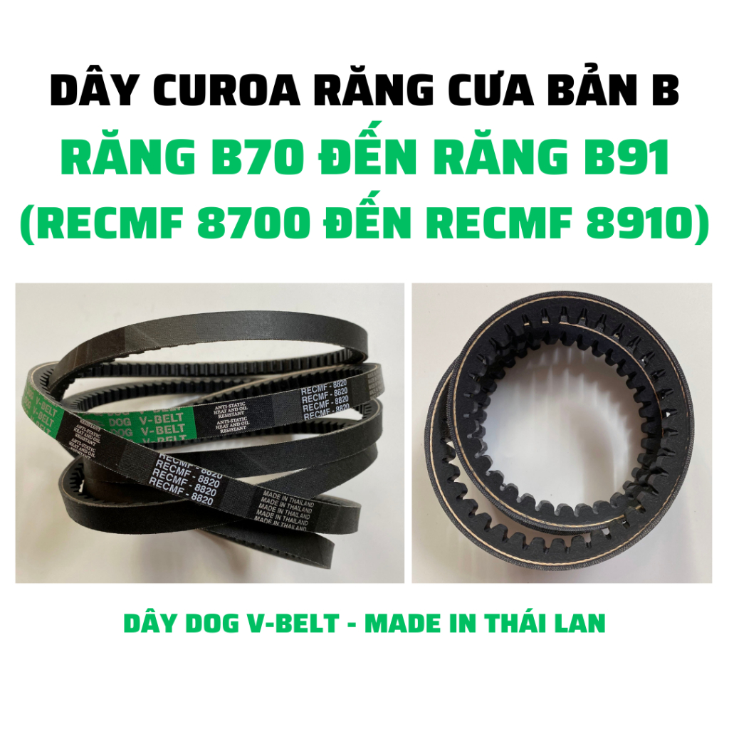 Dây curoa răng cưa bản B từ răng B70 (RECMF 8700) đến răng B91 (RECMF 8910)