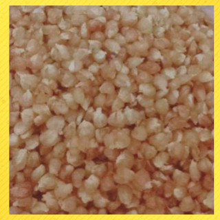500gram bắp chín phơi khô, ngô nếp luộc phơi khô dùng để rang làm ngô chiên giòn