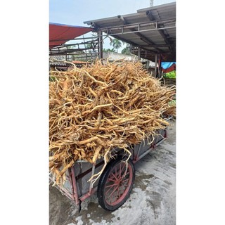1kg Đinh lăng sắc lát khô