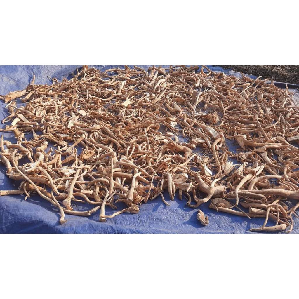 1kg Đinh lăng sắc lát khô