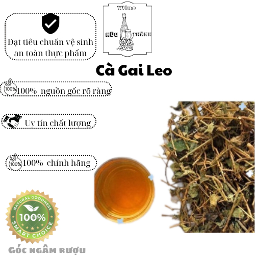 1KG Cà gai leo khô