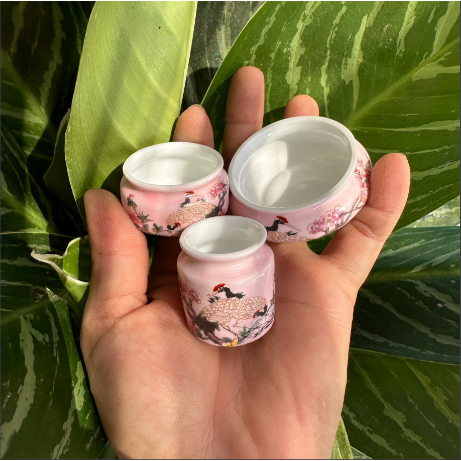 Cóng men sứ đựng thức ăn cho các dòng chim sâu, khuyên, hút mật hàng nhập Trung Quốc