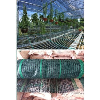 Lưới che nắng Thái Lan 50% ( 2m x 5m )👍👍👍