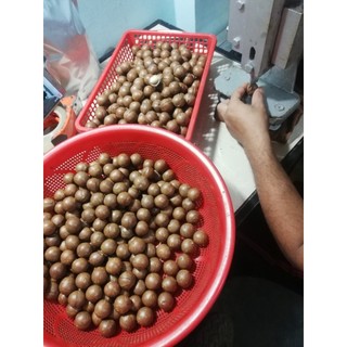 Macca Đăk Lăk sấy nứt vỏ Organic giòn tan không hôi dầu 1 kg