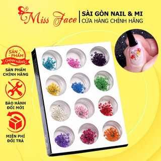 Set hoa khô - Set 12 hủ hoa khô xinh trang trí móng - hoa mix màu - Hoa ẩn bột - ẩn gel siêu xinhh