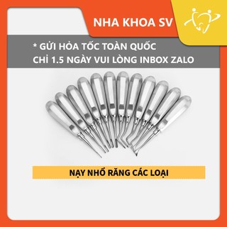 Nạy nhổ răng các loại | bẩy nhổ răng - elevators