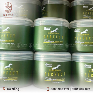Hấp dầu tơ tằm Collagen iBEST
