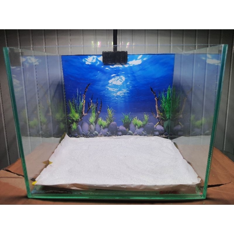 Cát thạch anh trắng trang trí hồ thủy sinh tiểu cảnh