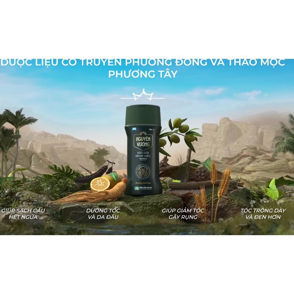 Dầu gội dược liệu Nguyên Vương dành cho nam chai 180ml - Hương Lịch Lãm