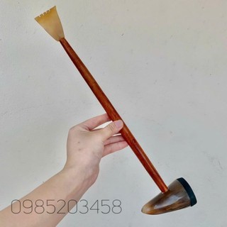 Cây đấm lưng, gãi lưng bằng đầu sừng