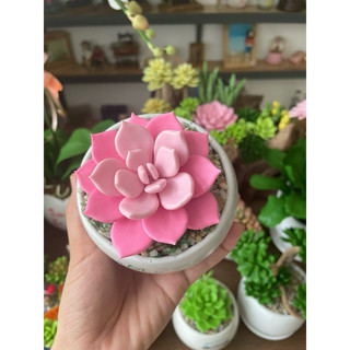 Sen đá bằng đất sét chậu mini đường kính 7cm