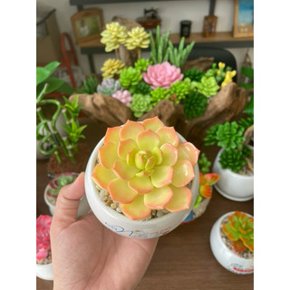 Sen đá bằng đất sét chậu mini đường kính 7cm