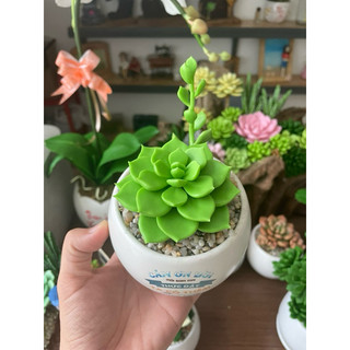 Sen đá bằng đất sét chậu mini đường kính 7cm