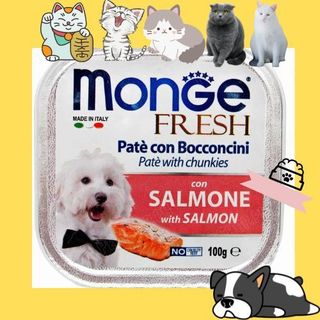 Pate cho chó - Pate Monge hộp 100g đủ vị
