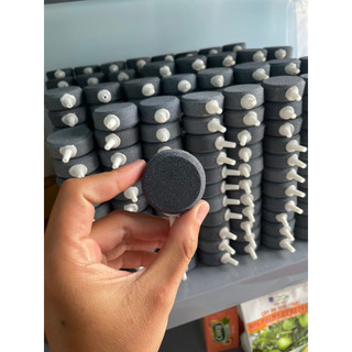 Đĩa sủi oxy hồ cá bể cá thủy sinh sủi siêu mịn, giá thành rẻ