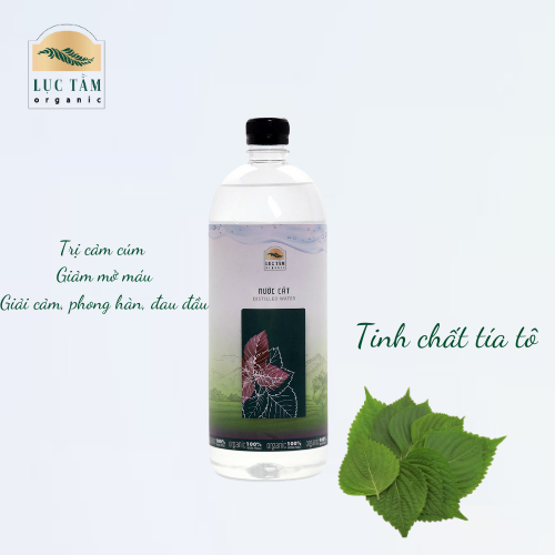 Nước cất tía tô giải cảm, phong hàn, đau đầu, nước cất tía tô sạch từ thiên nhiên