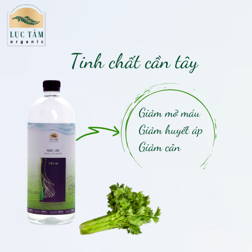 Nước cất cần tây tốt cho người bị huyết áp cao, giảm mỡ máu