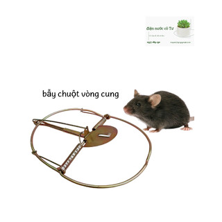 Bẫy chuột vòng cung bẫy chuột bán nguyệt bẫy đập chuột chữ nhật