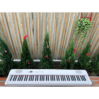 Piano Gập Go R2