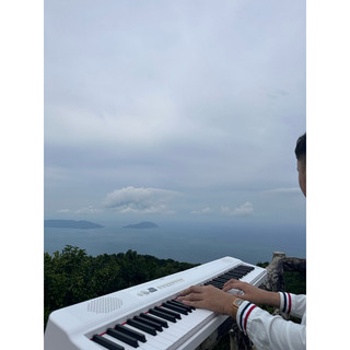Piano Gập Go R2