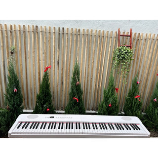 Piano Gập Go R2