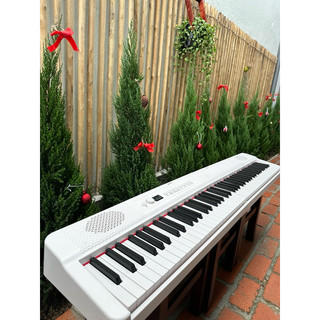 Piano Gập Go R2