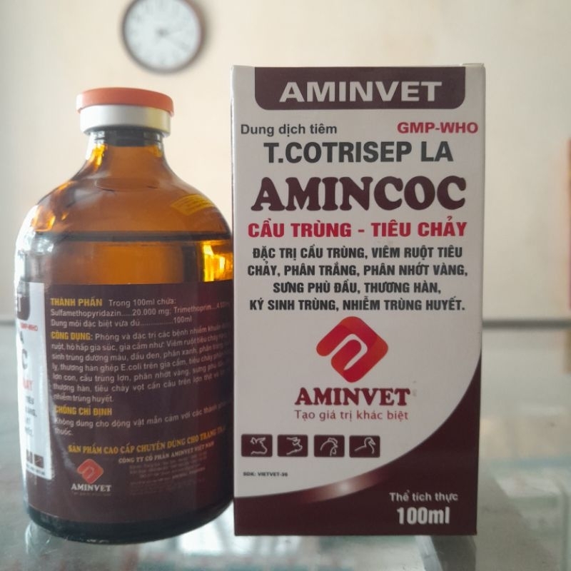 AMINCOC 100ml heo phân vàng nhớt; gà, vịt phân trắng