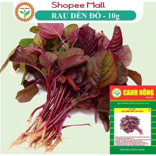 Hạt giống Rau Dền Đỏ sinh trưởng khỏe, trồng quanh năm - Hạt giống CANH NÔNG