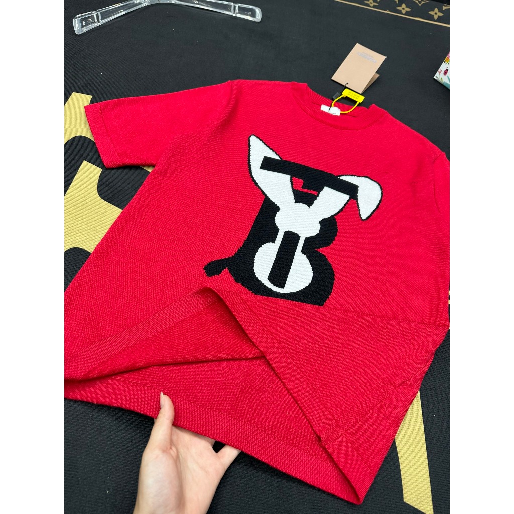 Áo Cộc Len Nam BBR Thêu Hình Siêu Đẹp - Áo Phông Nam Thêu Hình Chất Len Hàng Cao Cấp