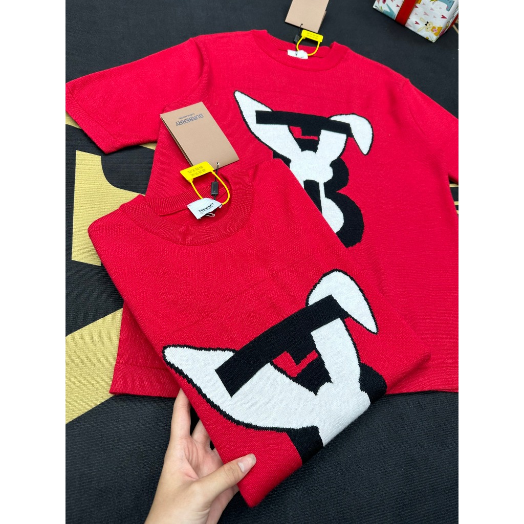 Áo Cộc Len Nam BBR Thêu Hình Siêu Đẹp - Áo Phông Nam Thêu Hình Chất Len Hàng Cao Cấp