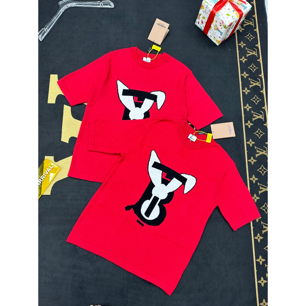 Áo Cộc Len Nam BBR Thêu Hình Siêu Đẹp - Áo Phông Nam Thêu Hình Chất Len Hàng Cao Cấp